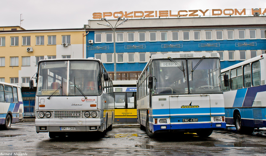 Ikarus 256.54 #80001