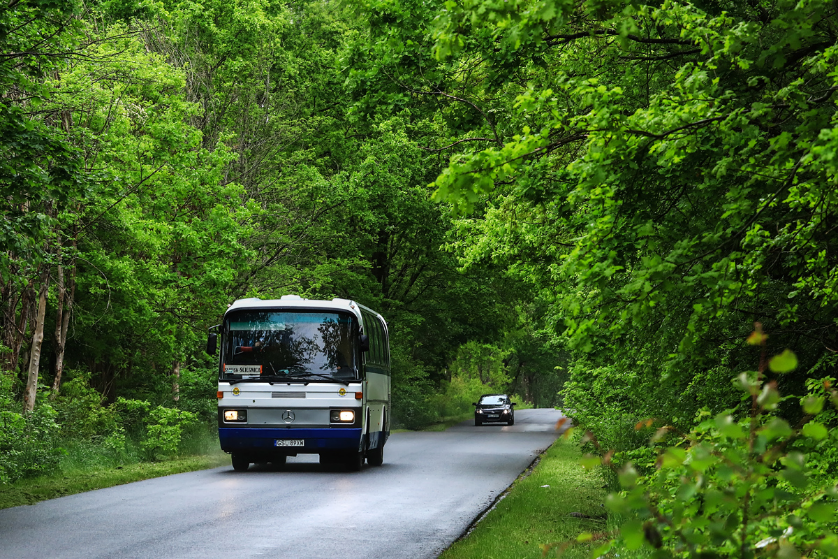 Mercedes-Benz O303-13KHP-L #20004