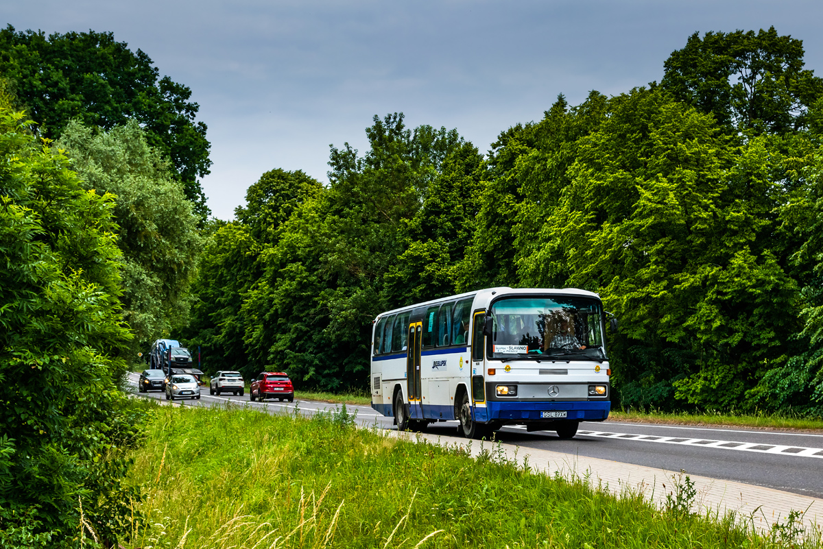 Mercedes-Benz O303-13KHP-L #20004