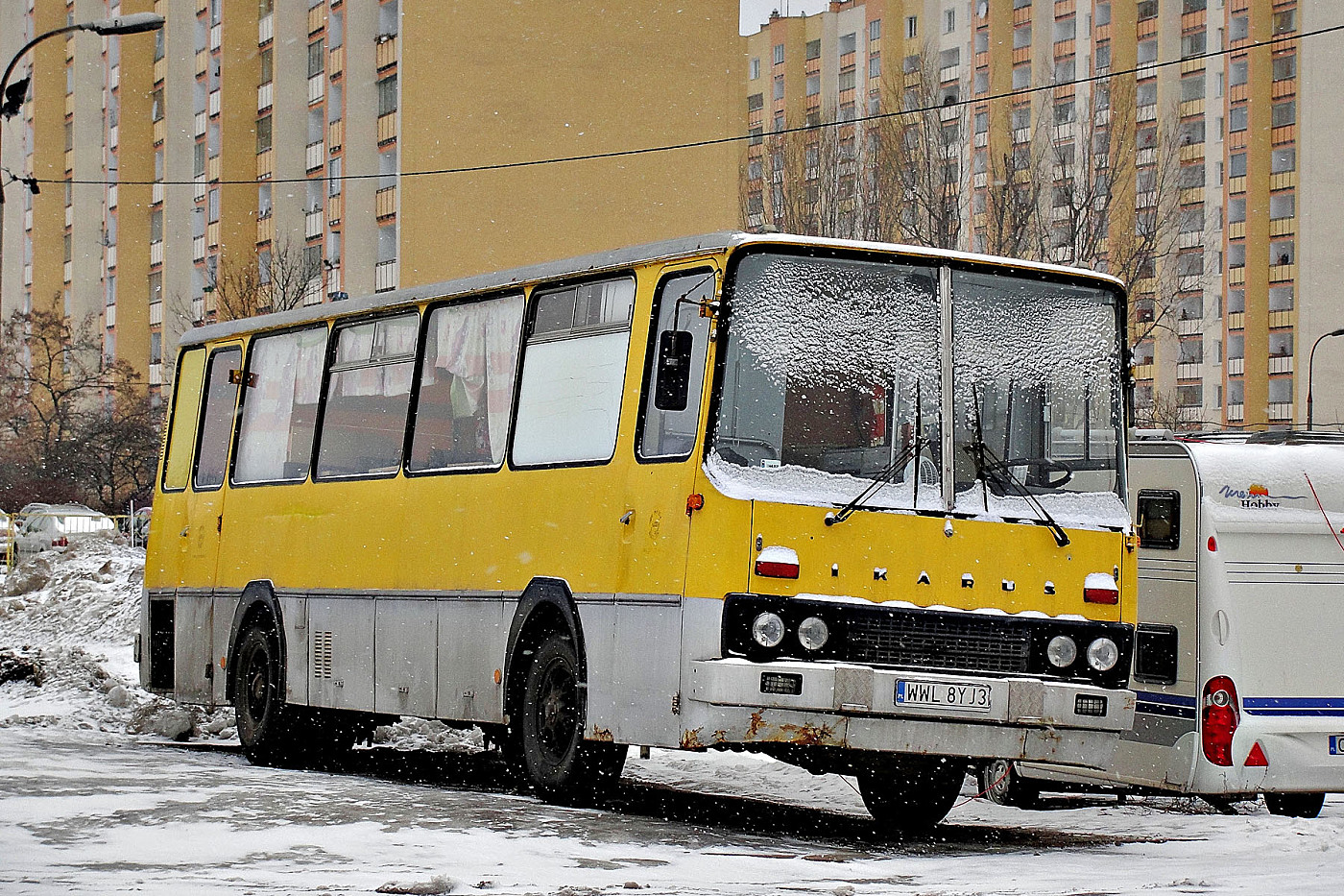 Ikarus 255 #WWL 8YJ3