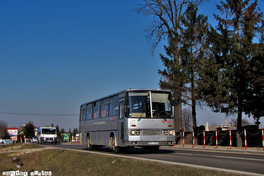 Ikarus 256.54 #80001