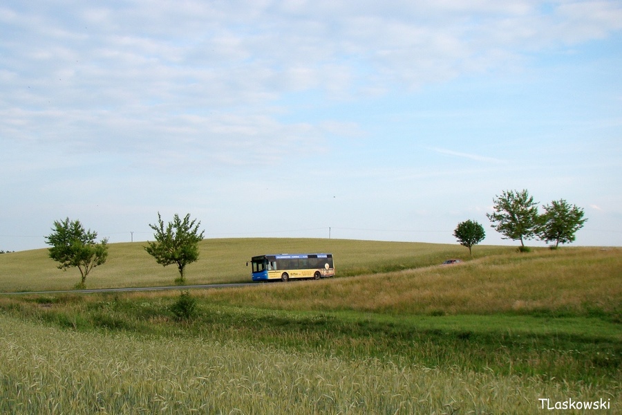 Neoplan N4411 #155