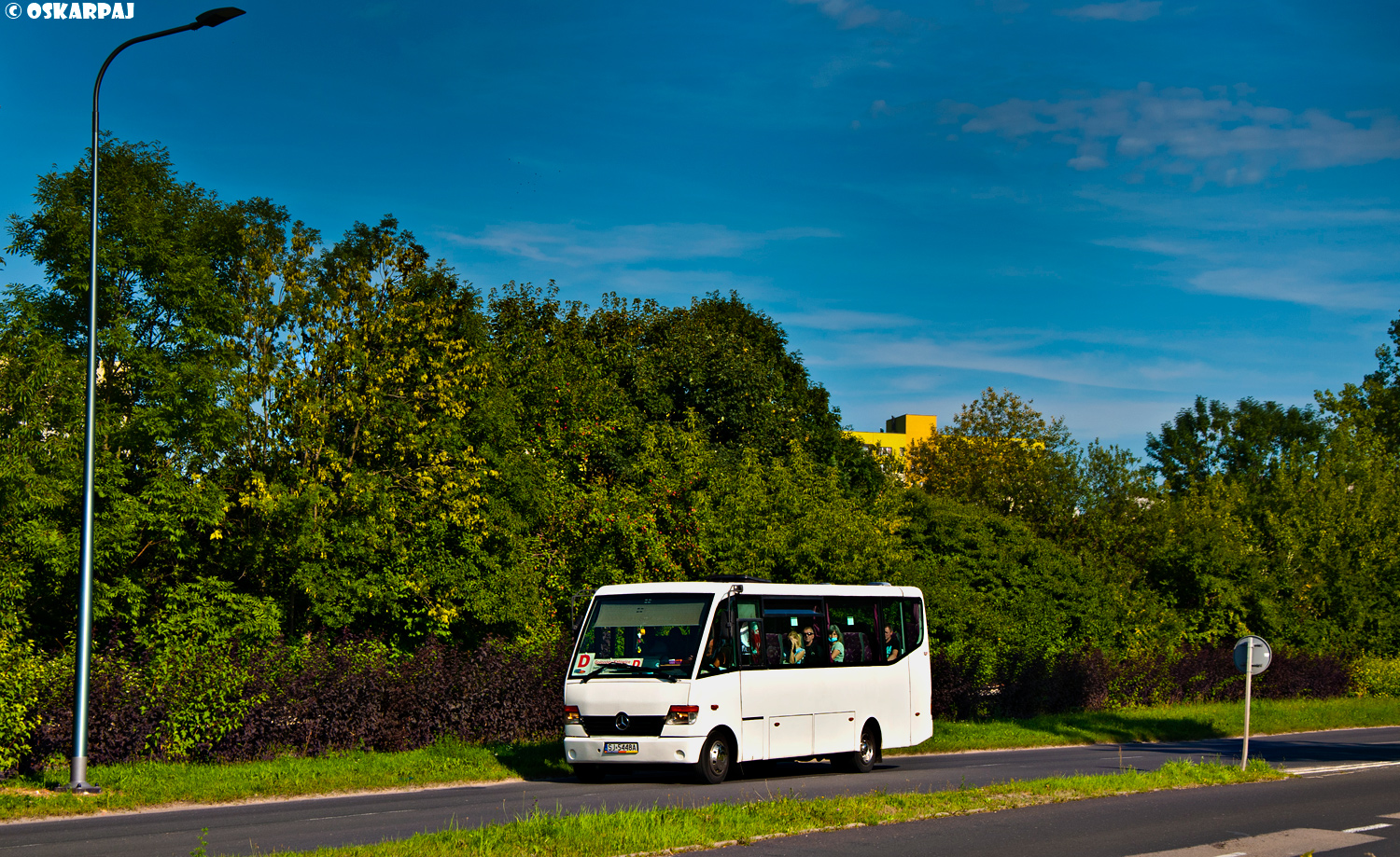 Mercedes-Benz 814D / Vehixel Mediano 32 #SJ 5448A