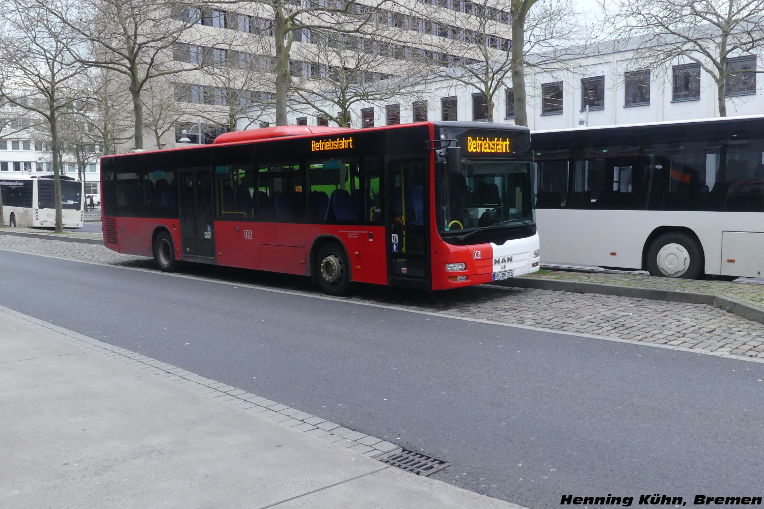 MAN NÜ323 Lion`s City Ü #316