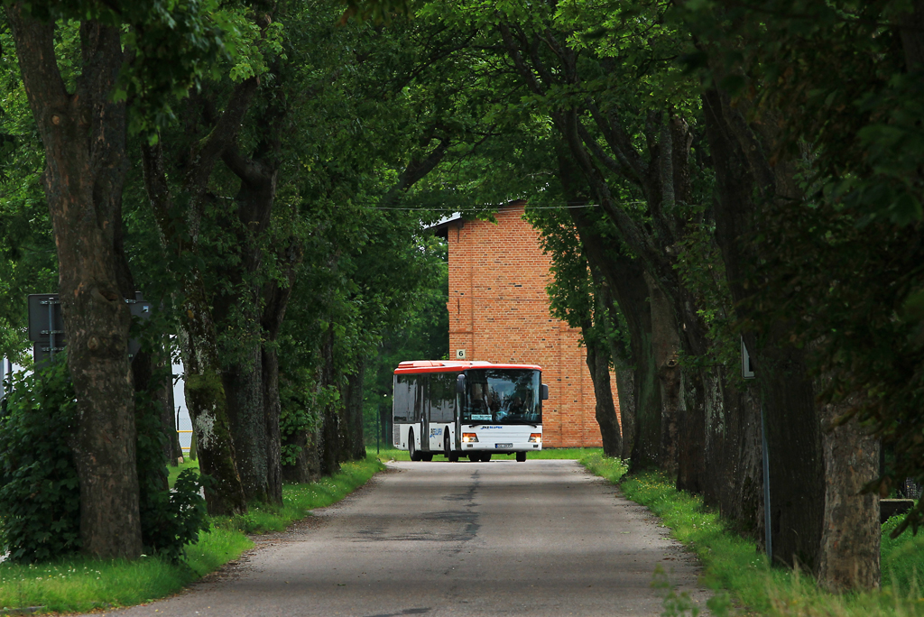 Setra S315 NF #50205