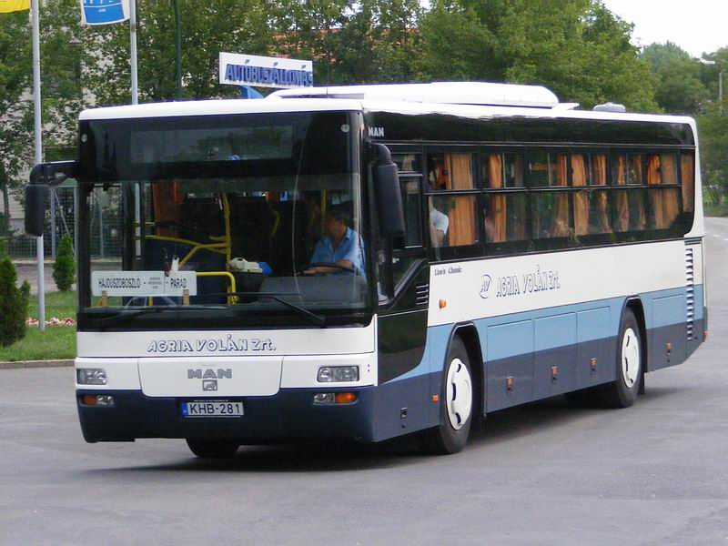 MAN SÜ313 #281