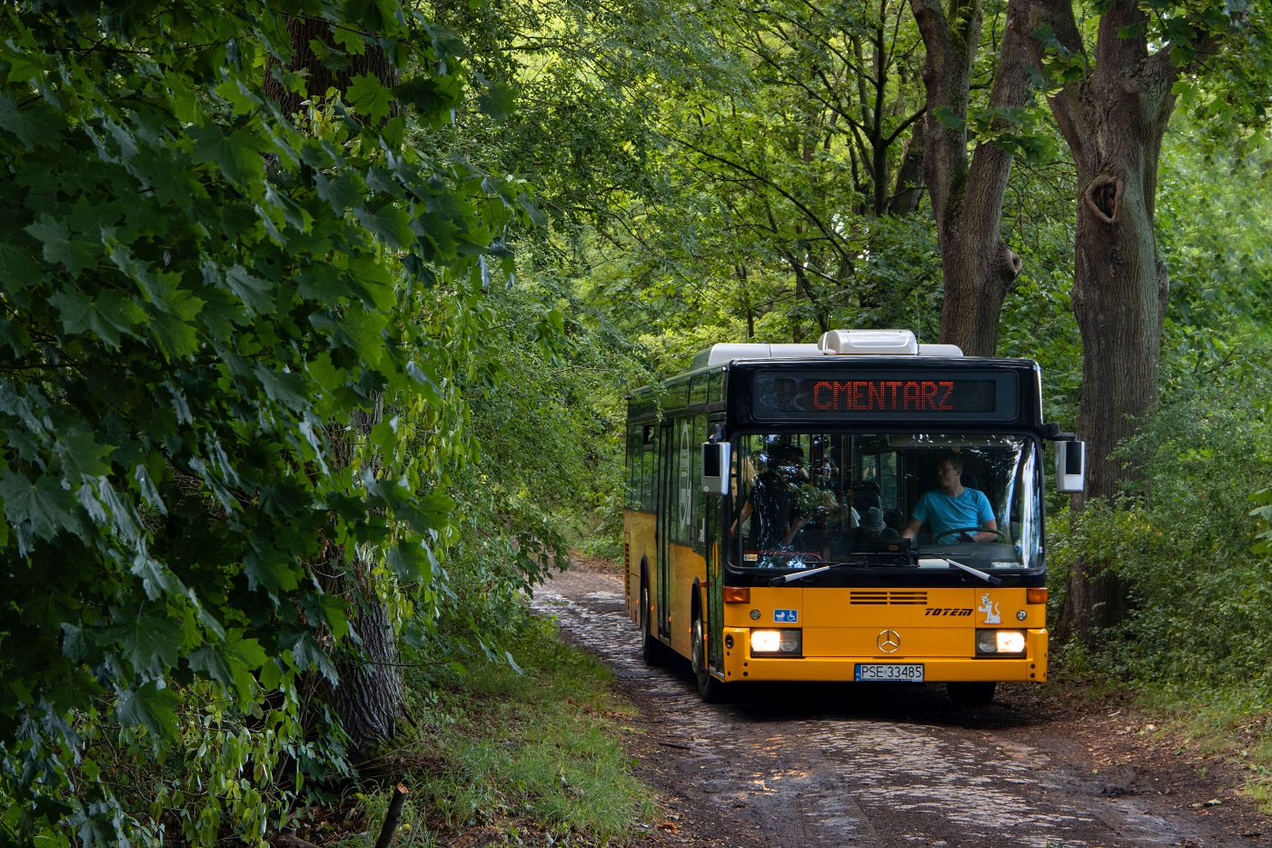 Mercedes-Benz O405N2 #PSE 33485