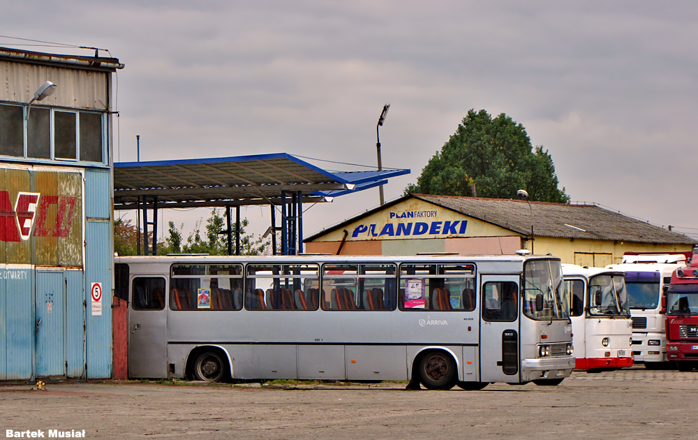 Ikarus 256.54 #80001