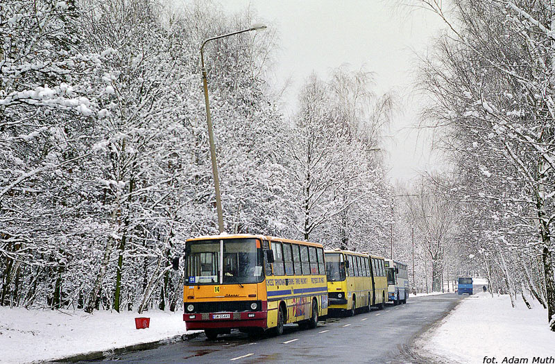 Ikarus 260.04 #14