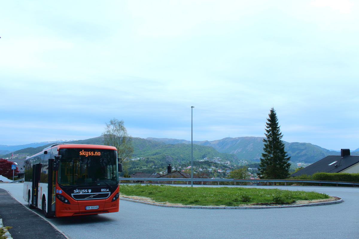 Volvo 8900LE 10,8m #8514