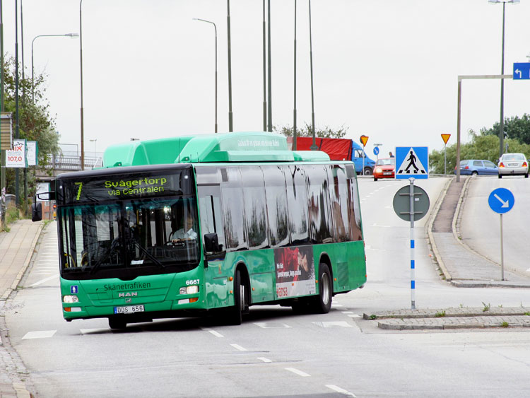 MAN NL313 Lion's City CNG #6667