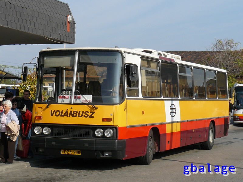 Ikarus 250.69 #DZA-236