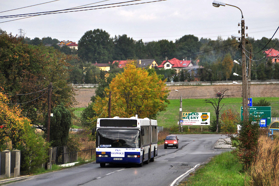 Neoplan N4021 #536