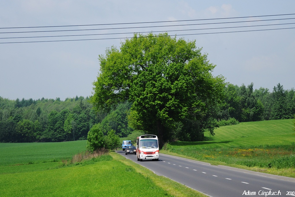 Iveco TurboDaily 59-12 / Kapena Thesi City #205