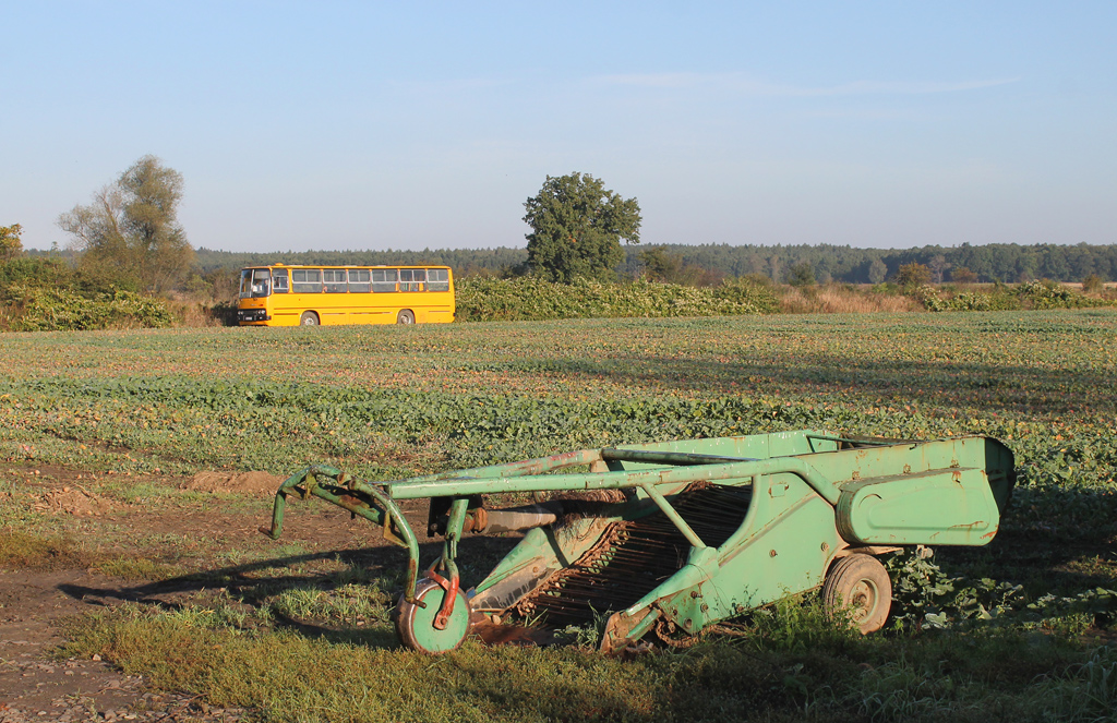 Ikarus 260.32 #3932