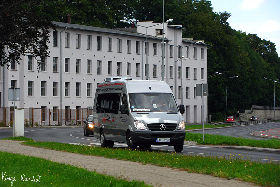 Mercedes-Benz 515 CDI #SBI NV22