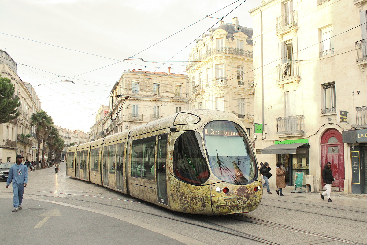 Alstom Citadis 302 #2045