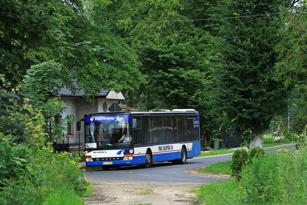 Setra S315 NF #50201