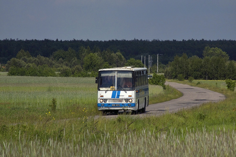 Ikarus 256.55B #C60501