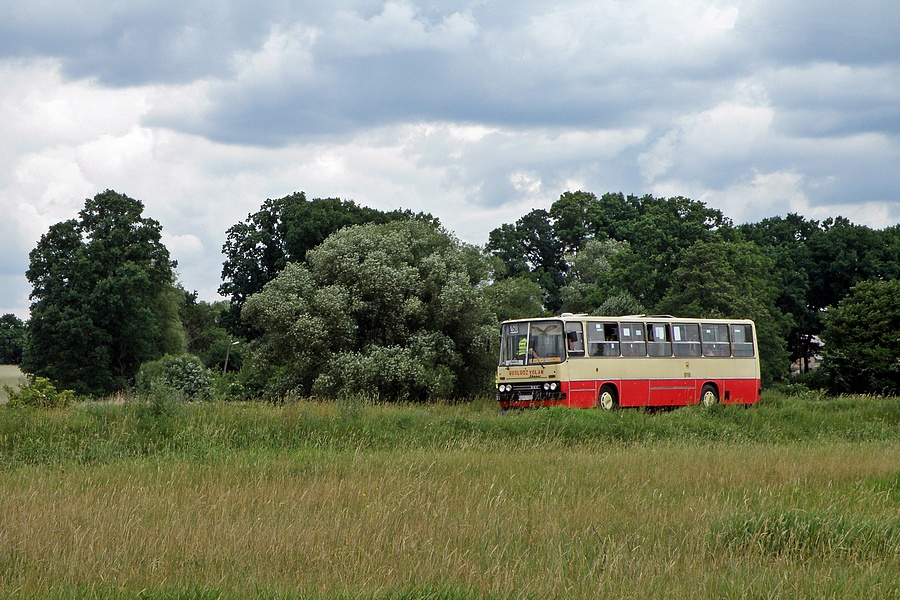 Ikarus 260.04 #BV01