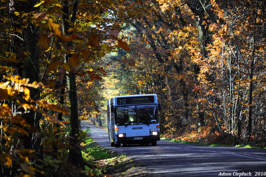 Mercedes-Benz O405 #25