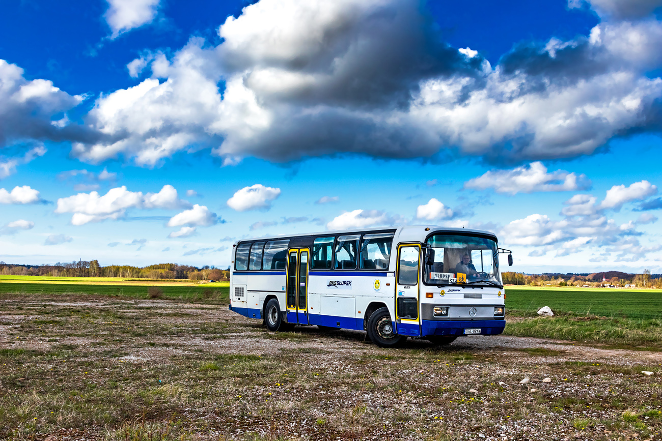 Mercedes-Benz O303-13KHP-L #20004