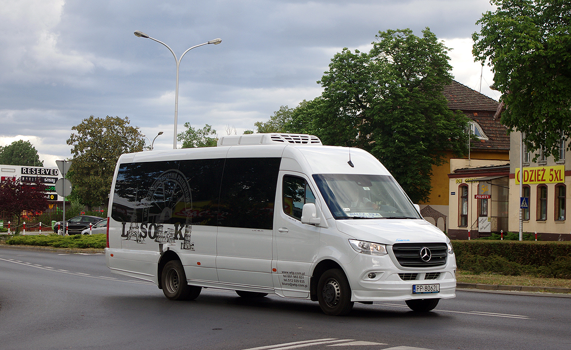 Mercedes-Benz 516 CDI / Mercus #PP 8062L