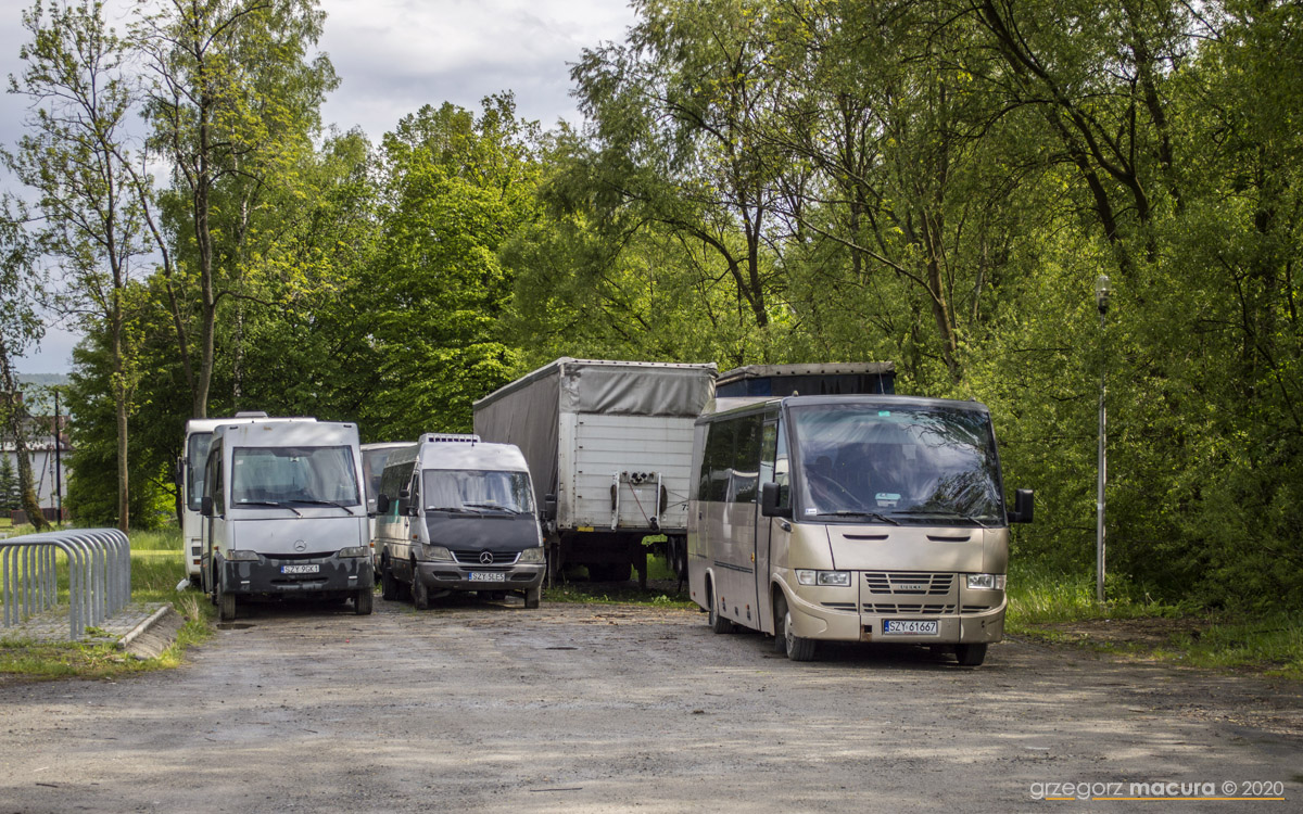 Iveco Daily 65C17 / ProBus Rapido 170 #SZY 61667