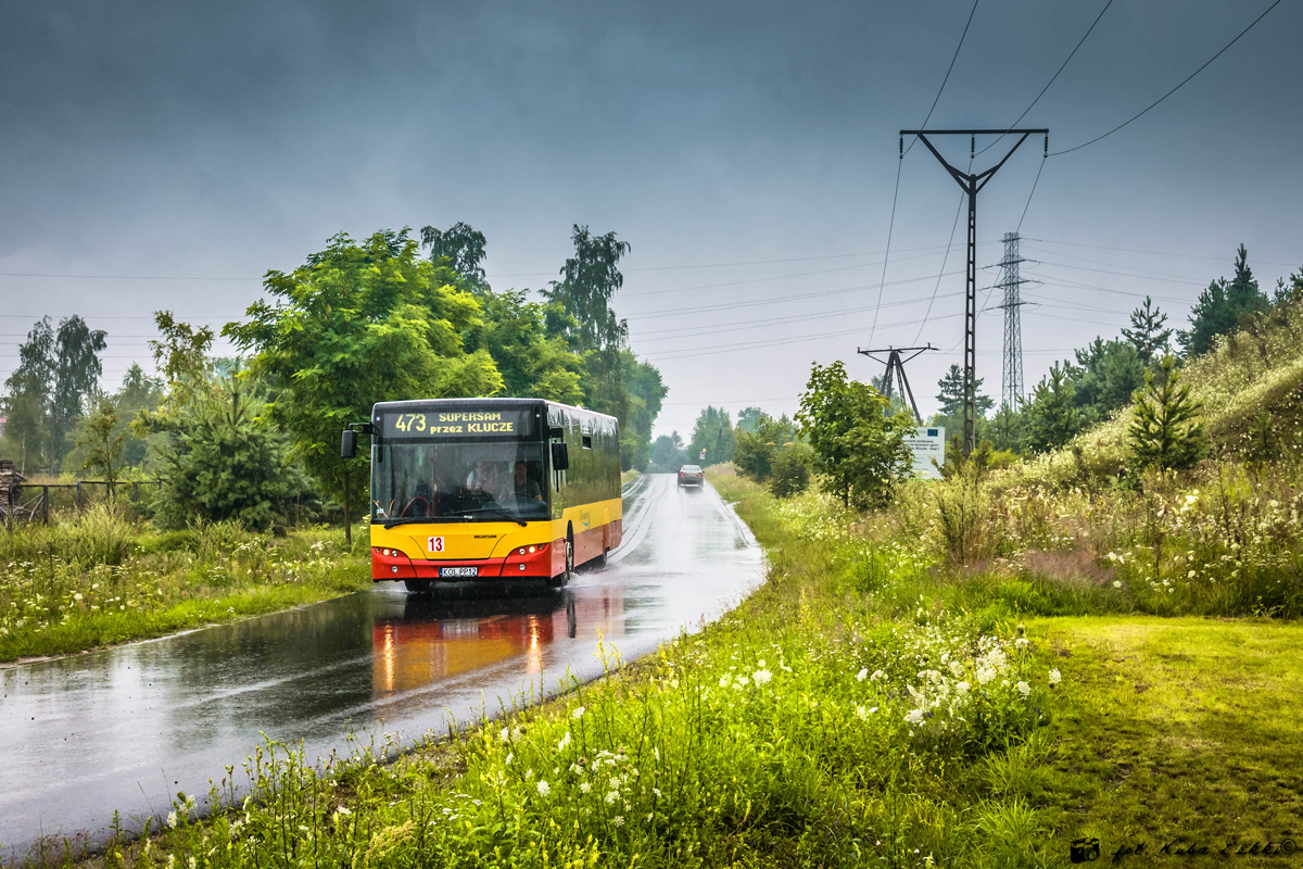 Neoplan N4516 #13