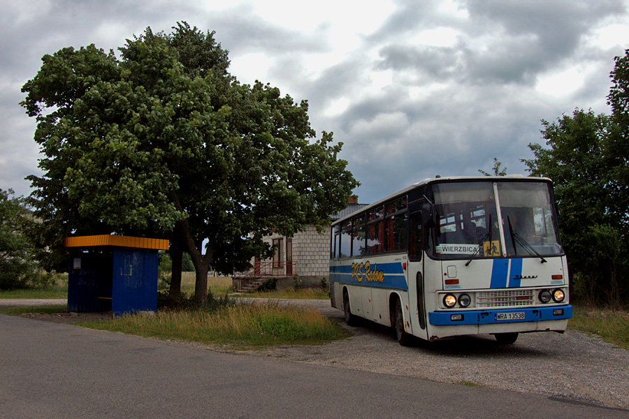 Ikarus 256.55 #C60501