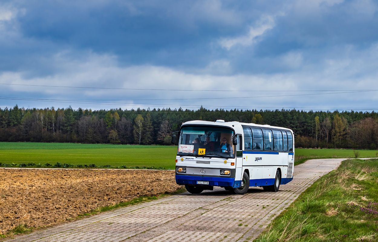 Mercedes-Benz O303-13KHP-L #20004