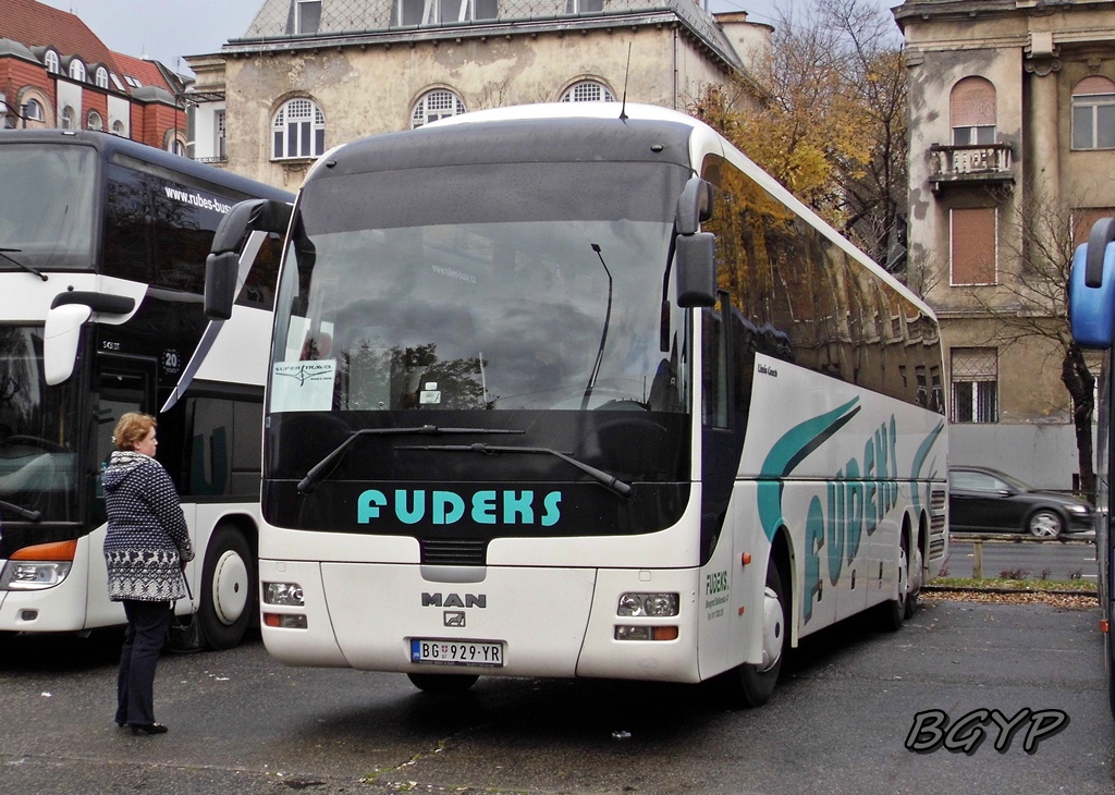 MAN RHC414 Lion`s Top Coach #BG 929-YR