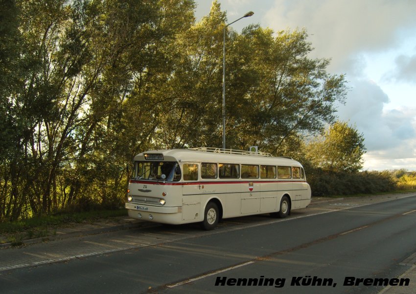 Ikarus 66.62 #314