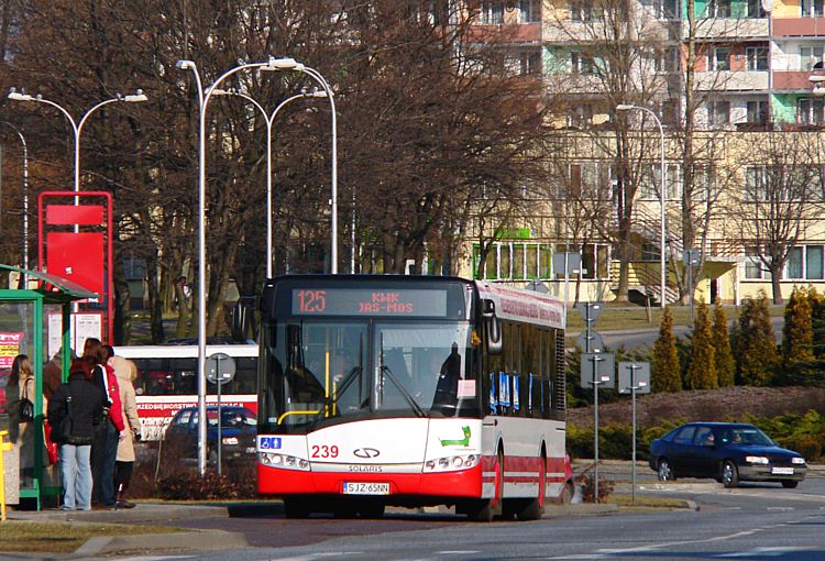 Solaris Urbino 12 #239