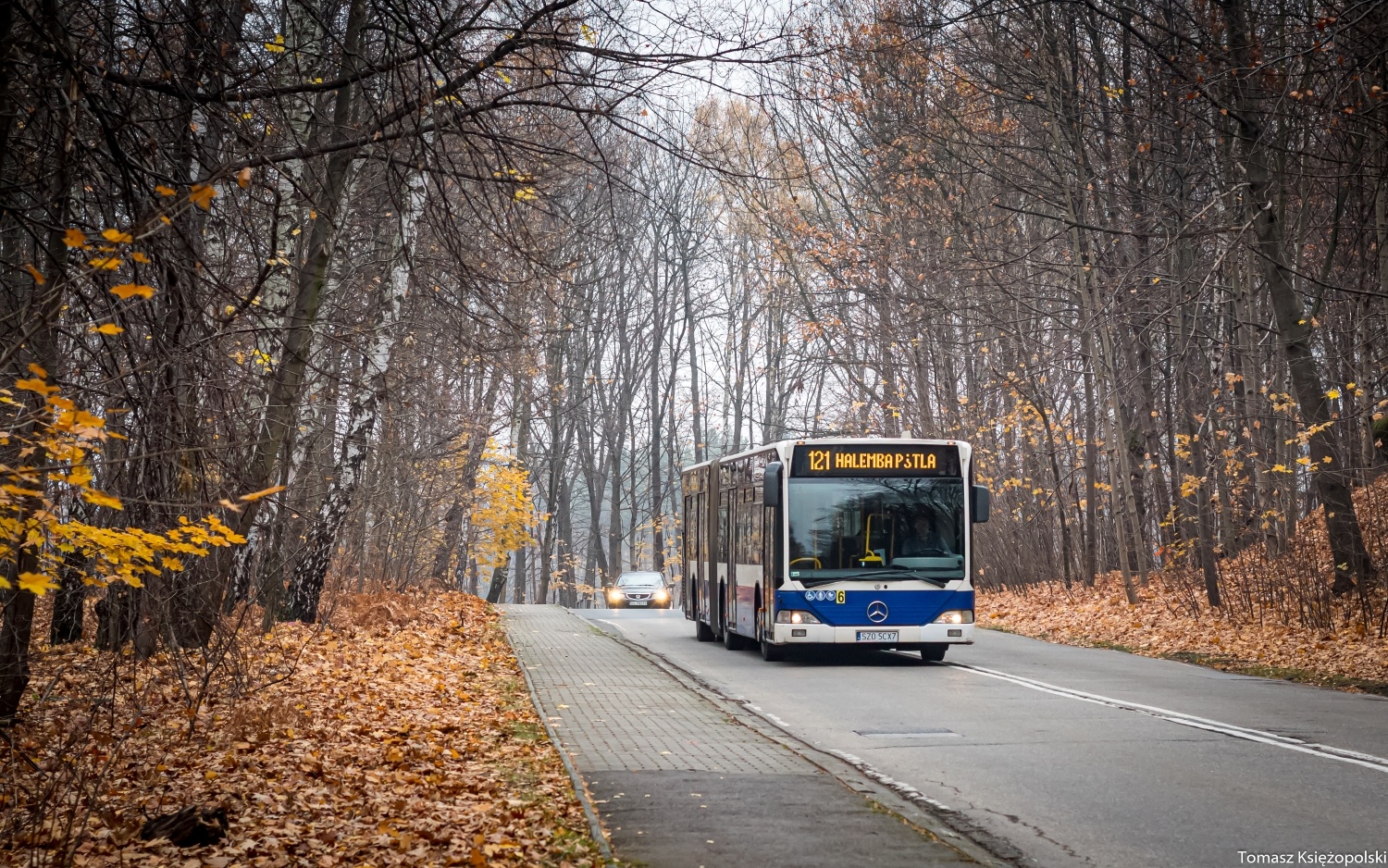 Mercedes-Benz O530G #6