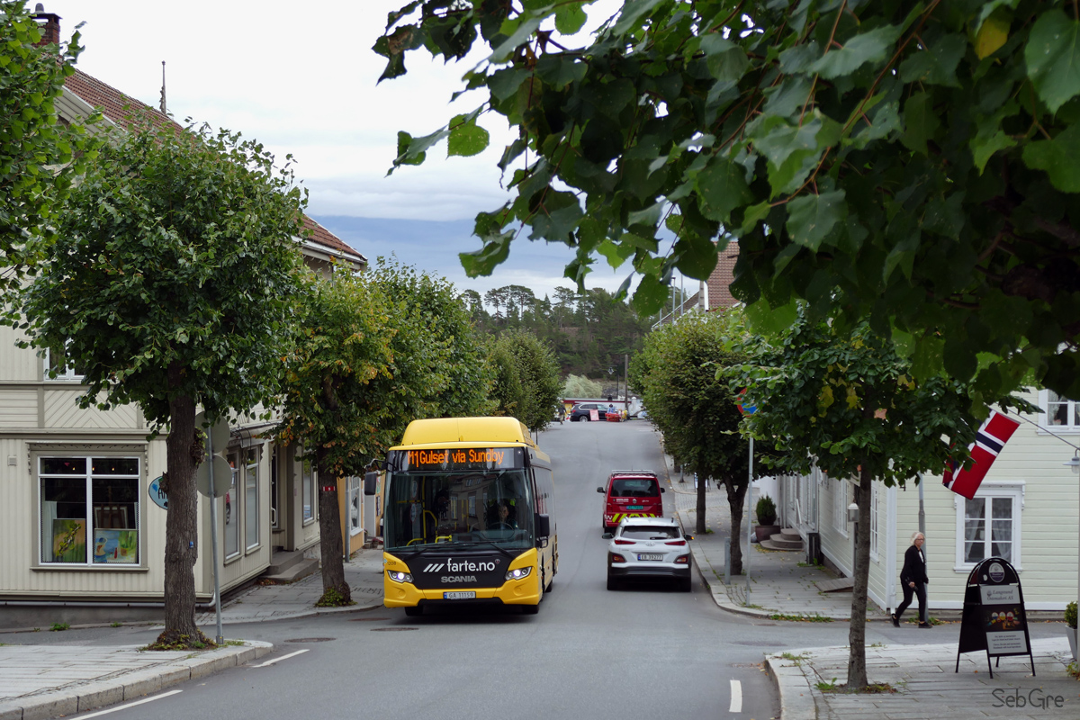 Scania CK280UB 4x2 LB CNG #1208