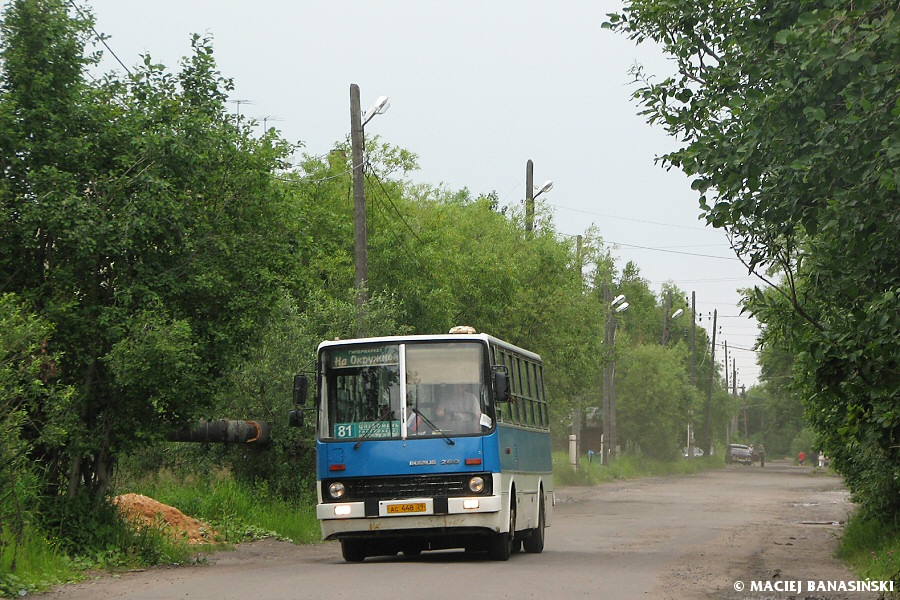 Ikarus 260.51 #АС 448 29