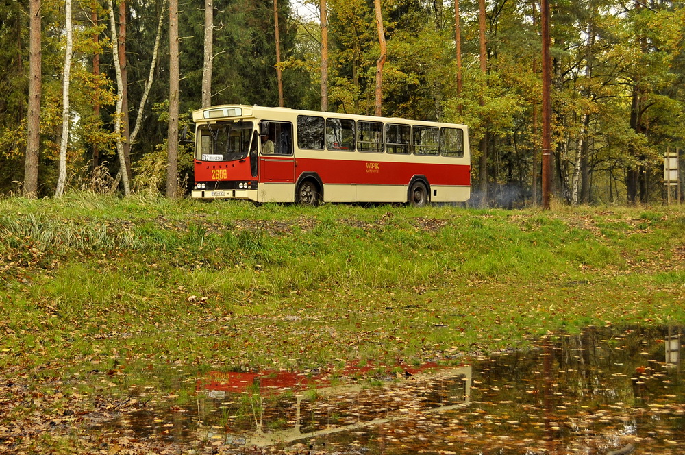 Jelcz M11 #2608