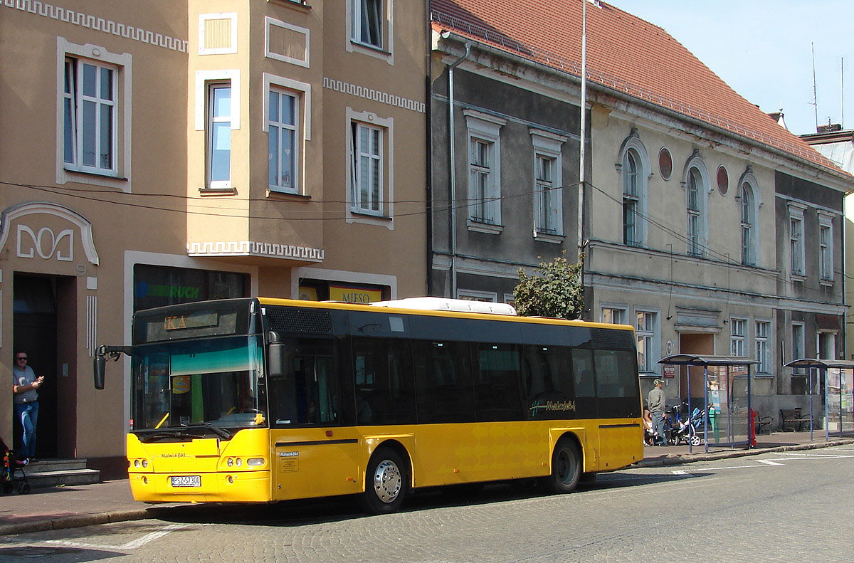 Neoplan N4411 #PSZ 57300