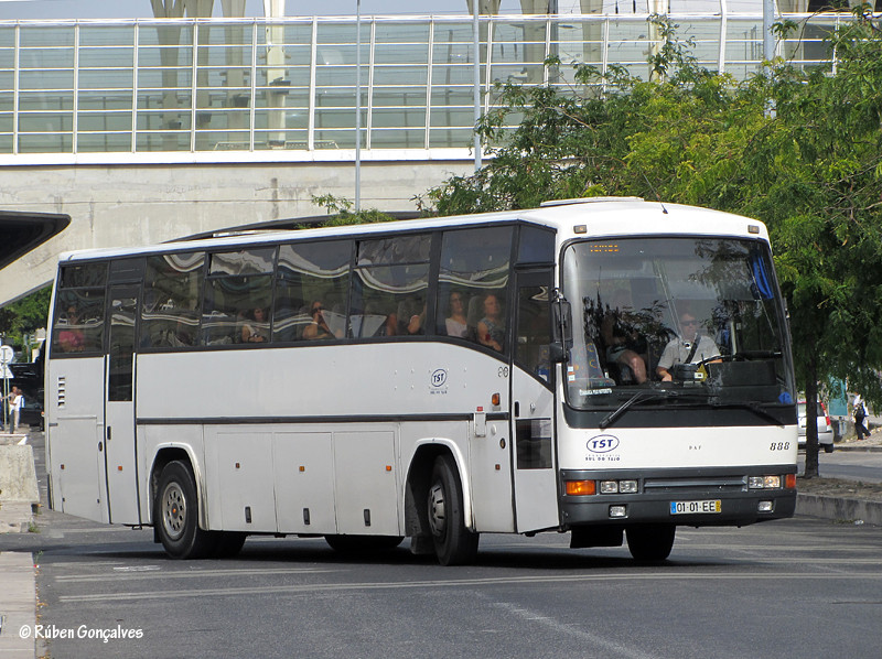 DAF SB3000 / Camo Minerva #888