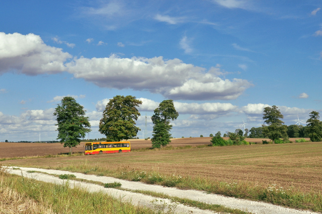 Mercedes-Benz O405N #314