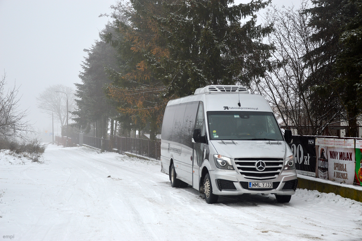 Mercedes-Benz 519 BlueTEC / Bus Factory Luxury Line #WML YJ33