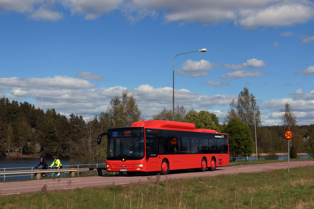 MAN NL313-13,7 Lion`s City C CNG #144