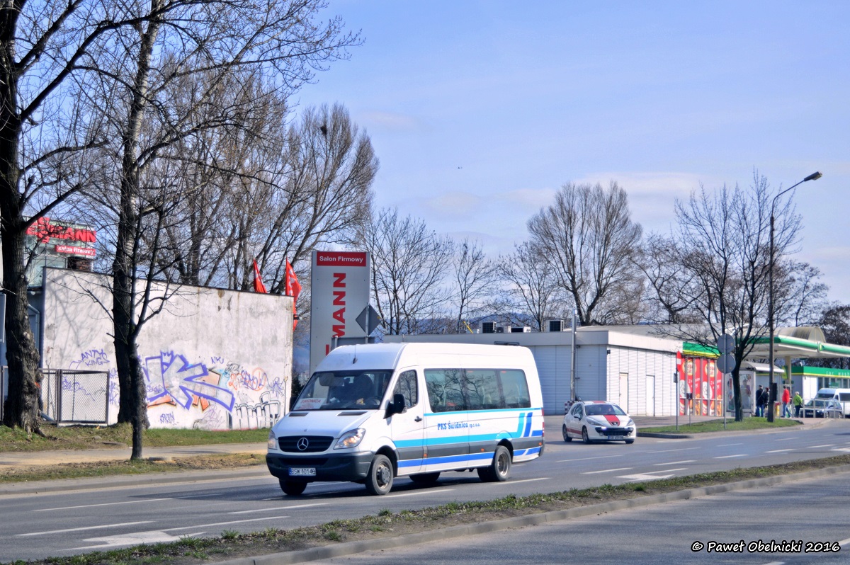 Mercedes-Benz 515 CDI #DSW 10148