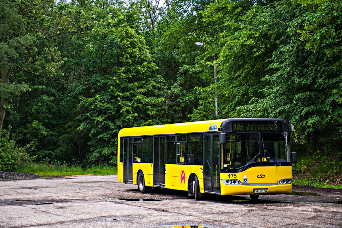 Solaris Urbino 12 #175