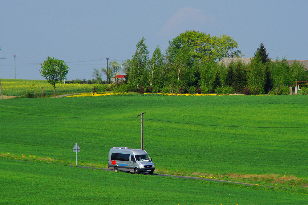 Mercedes-Benz Sprinter #B10601