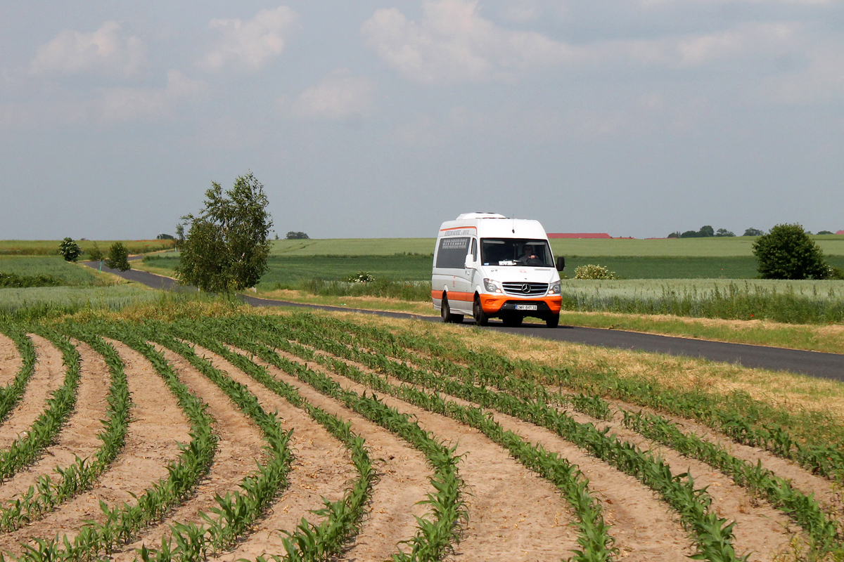 Mercedes-Benz 519 CDI / Bus-Prestige MB Sprinter #09