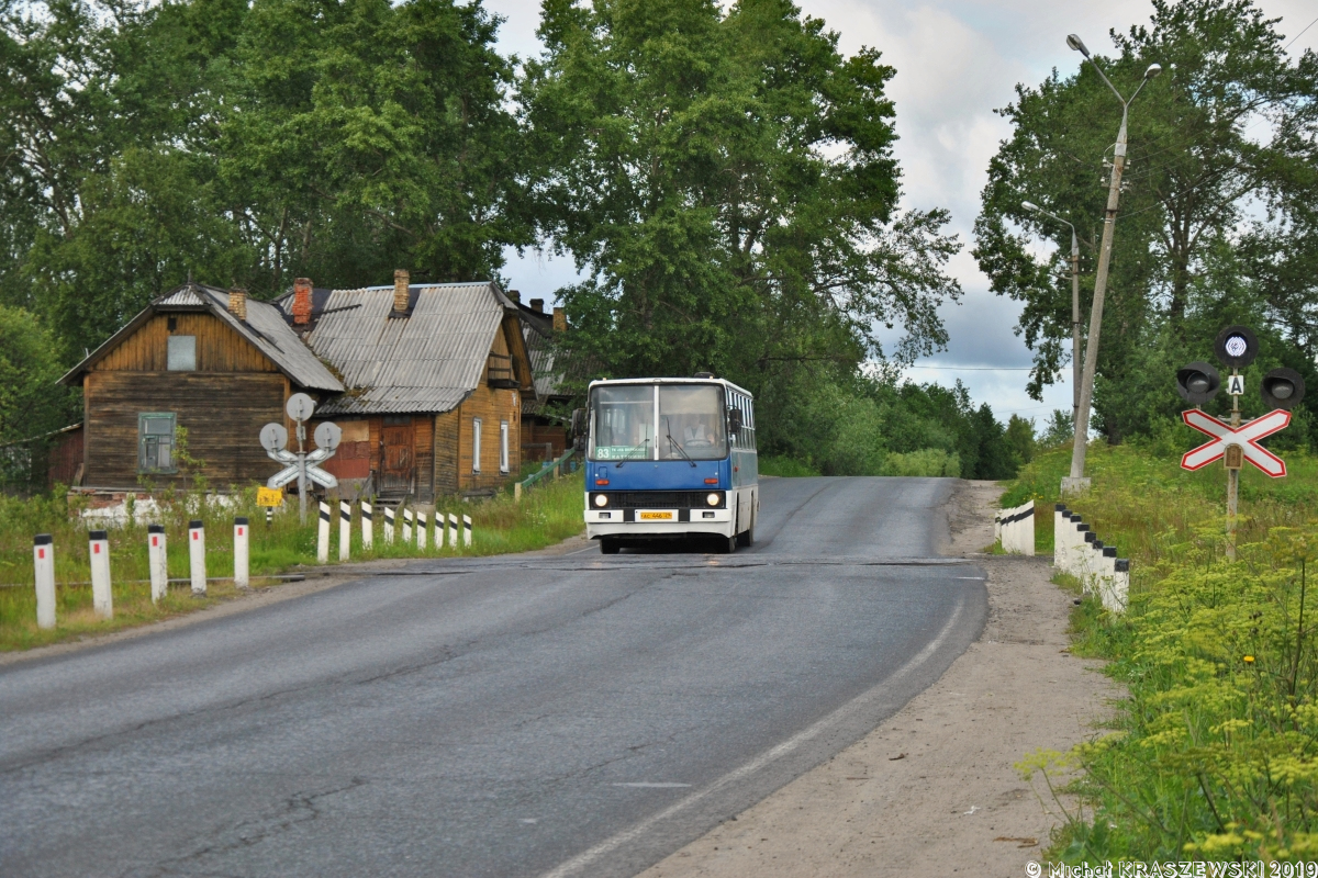 Ikarus 260.51 #АС 446 29