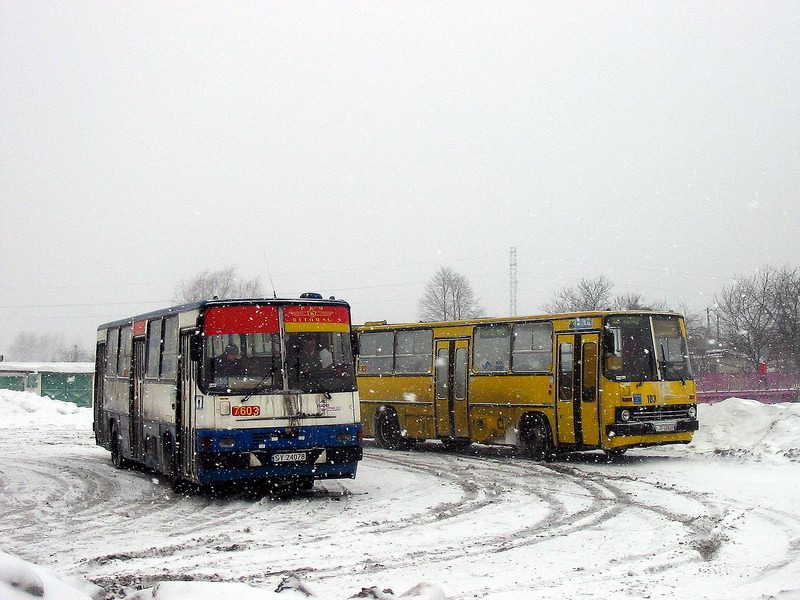 Ikarus 260.04 #7603