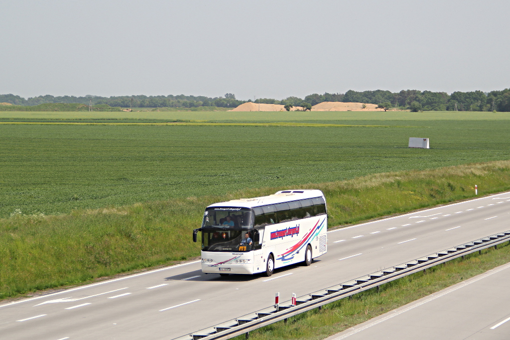 Neoplan N116 #19